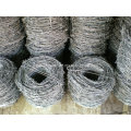 Hot-DIP Galvanized Barbed Wire